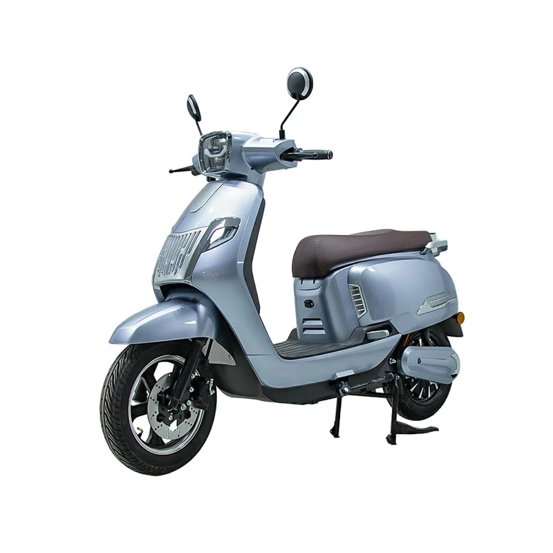Yetkinlər üçün elektrik motosikleti 10 düym 800W motosiklet