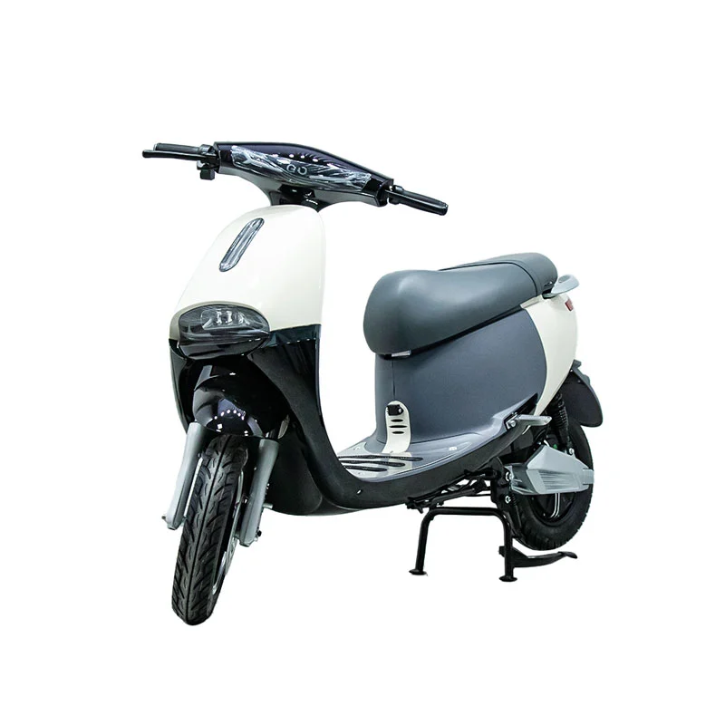10 düymlük 1000w motosiklet ilə elektrik motosikleti